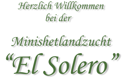 Herzlich Willkommen                   bei der         Minishetlandzucht El Solero